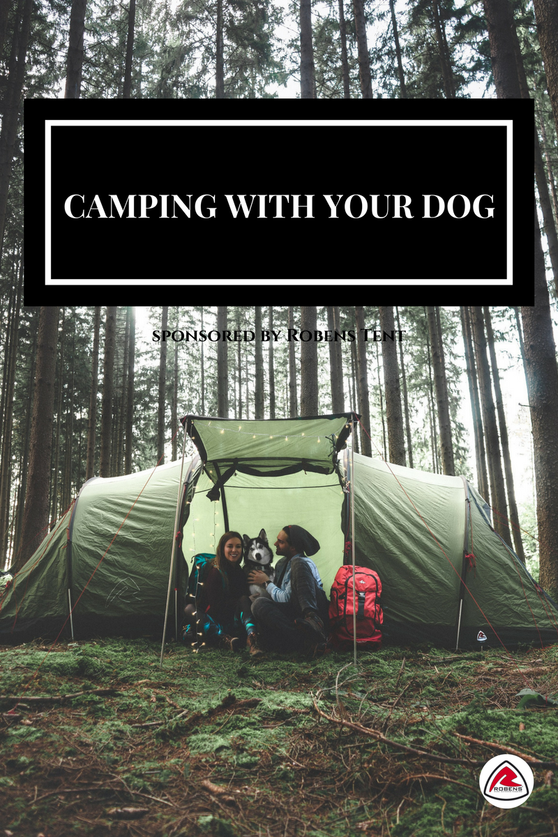 10 reasons why camping with your dog is good for your soul
